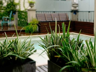 Luxury Rental Apartments Buenos Aires Pool Chairs Plants Deck Raining Day
